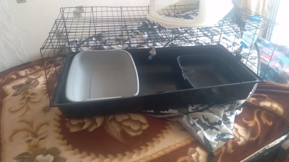 Клетка в хорошем состоянии