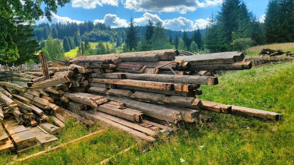 Lemn vechii din demolări