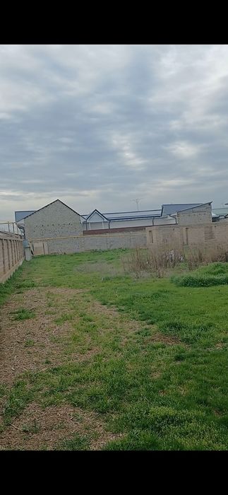 Курук ёр 16 сотих документлари жойида