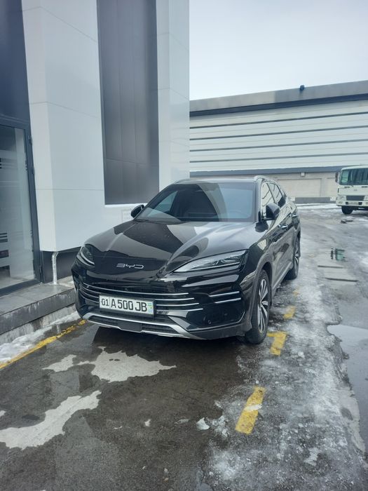 BYD Song Plus chempion 2024