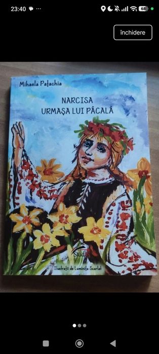 Cărți copii și adolescenți
