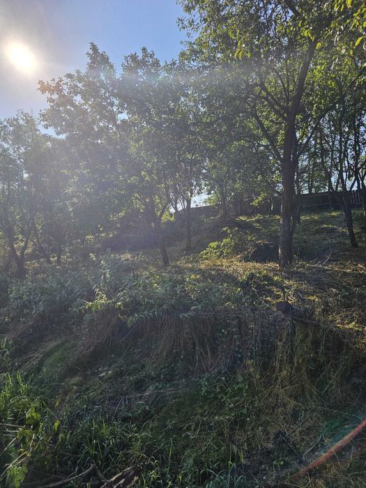 Teren intravilan/ Loc de casă