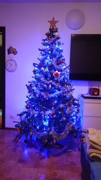 Brad artificial  Brad