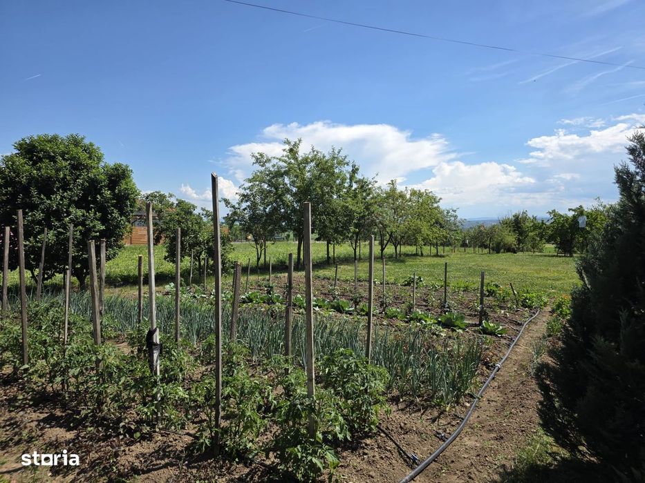 Casă individuală de vânzare | Balata – Șoimuș | 110 mp| Teren 5.095 mp