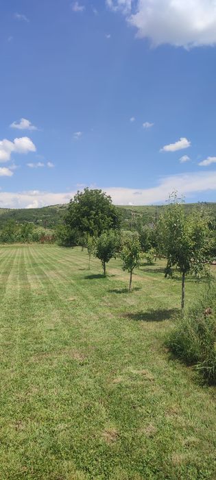 Teren intravilan de vanzare Goiesti