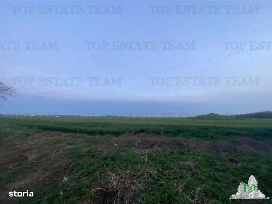 Teren intravilan 15000 mp Costinesti, Constanta