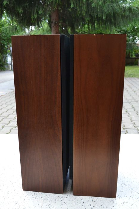 Audio Professional Monitor AP 45