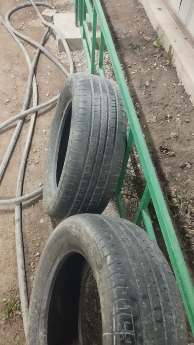 Автомобильный шины