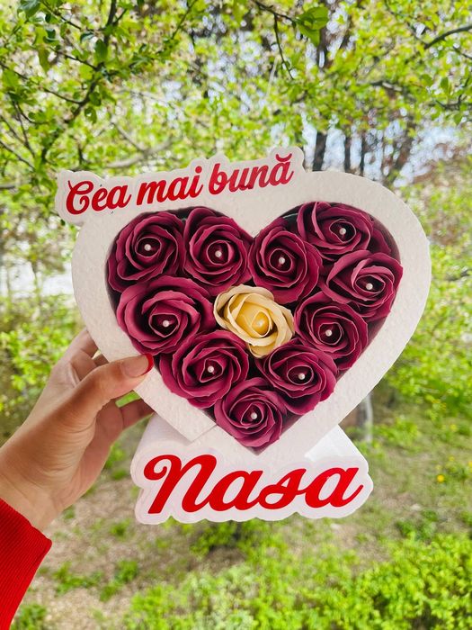 Aranjament superb NAȘA