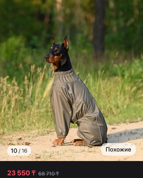 Дождевик для собак