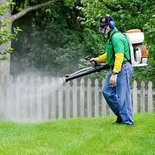 Dezinfeksiya xizmati