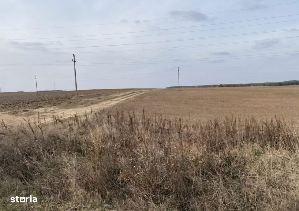 Teren extravilan 5000mp, Malu Mare, 0 comision la cumparator