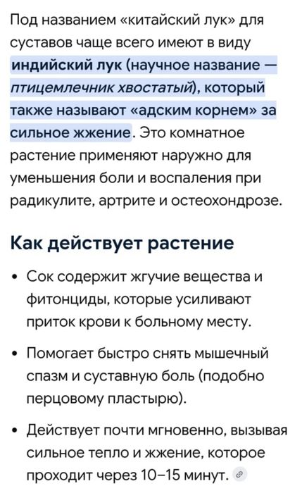 Растение для лечения суставов