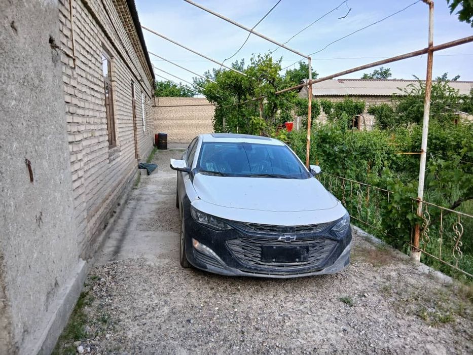 Малибо хл шот спафка