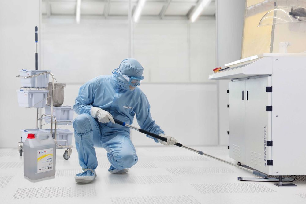 Klop ilon tarakan Dezinfeksiya Дезинфекция от клопов блох змей запах