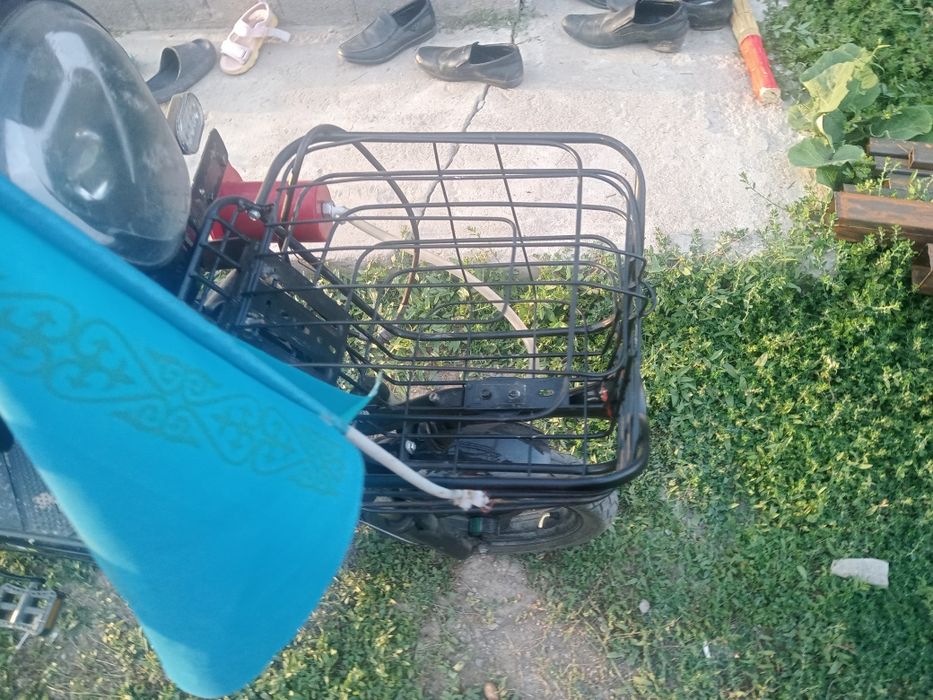 Лепард лепард  40