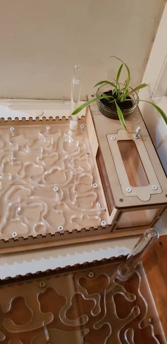 Продам Муравиную ферму