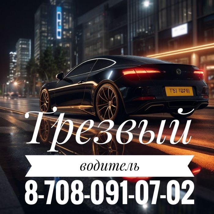 Трезвый водитель