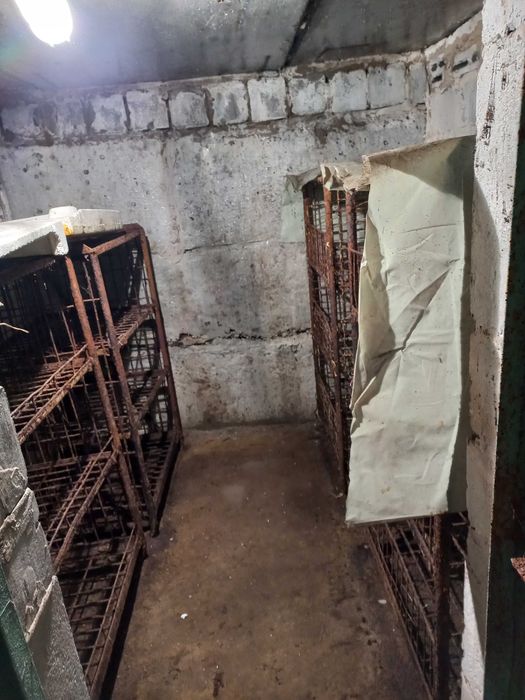 Овощехранилище, продам. Район Химгородков