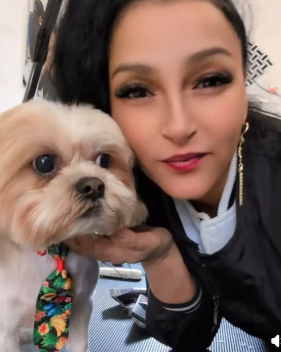 Frizerie canină 120 toaletaj complet