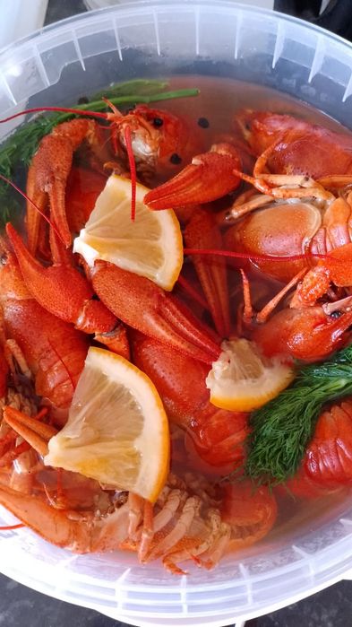 Креветки,рыба,раки,икра