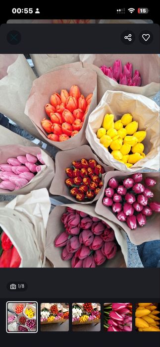 Тюлпаны свежи әдемі