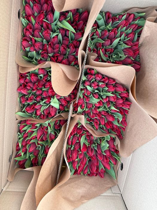 Акция на тюльпаны