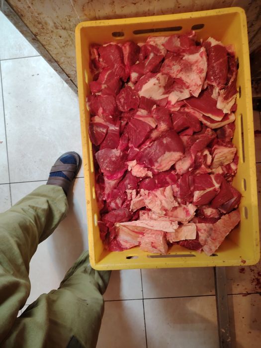 Продам мясо говядины.