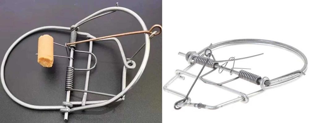 Ловушка для птиц и животных