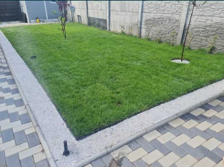 Gazon Rulou Calitate extra