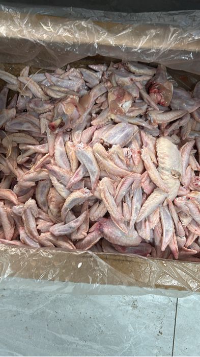 Корм для сабак кошек