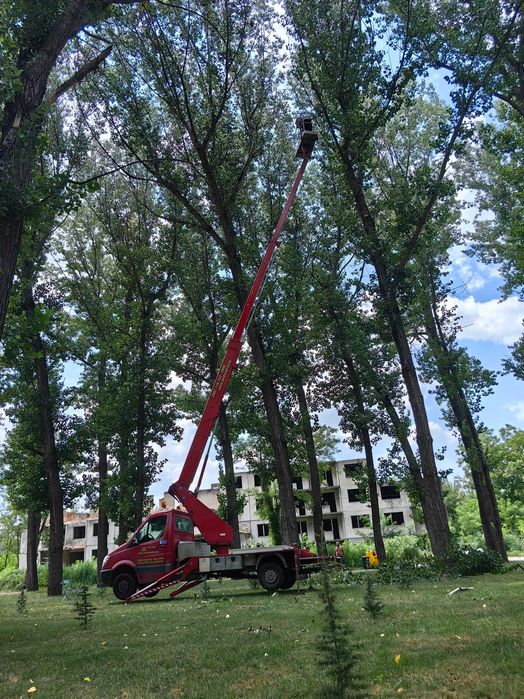 Рязане на опасни дървета Варна
