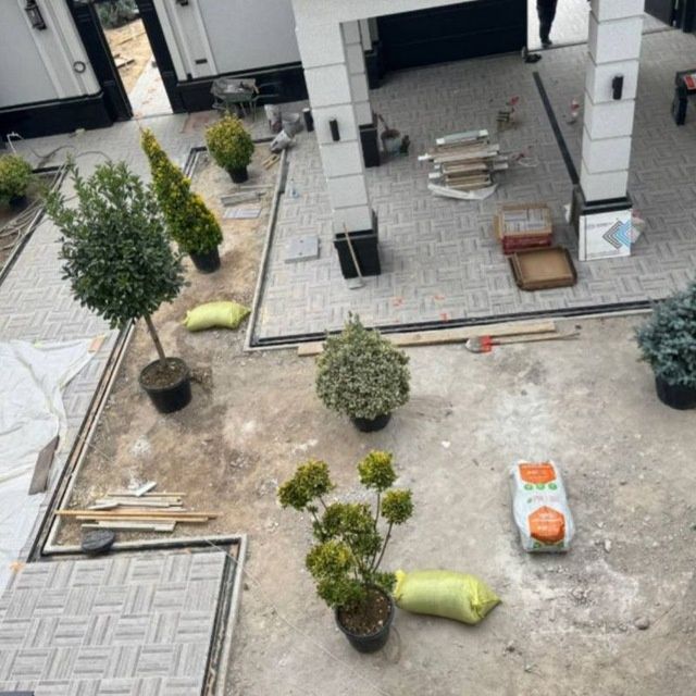 Landshaft dizayni koʻchat yetqazish