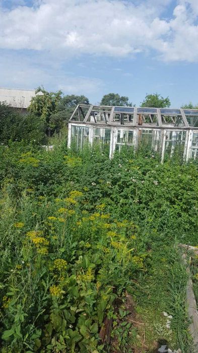 Продаю дачу 12 соток