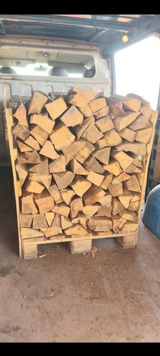 Vind Lemne de foc USCATE Fag Paletat