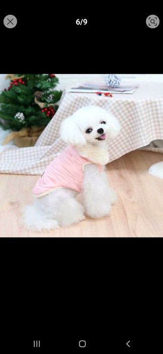 Яке за кученца дребна порода.Топли ,с подплата ,удобни и предпазващи.