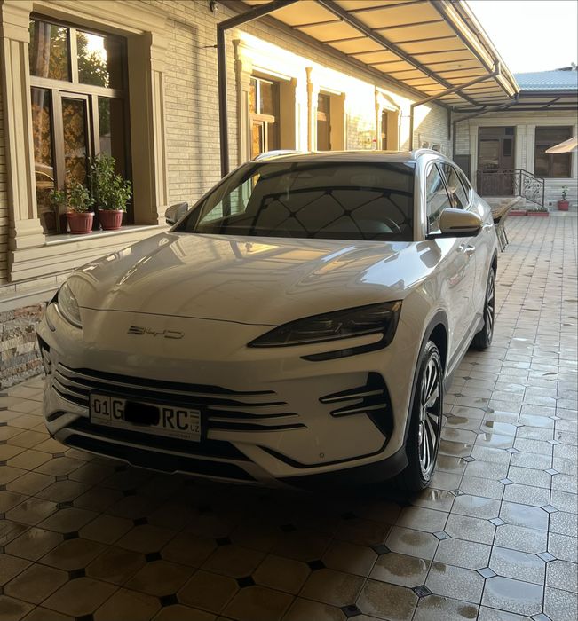 Byd champion gibrid 150 oq afitsalniy