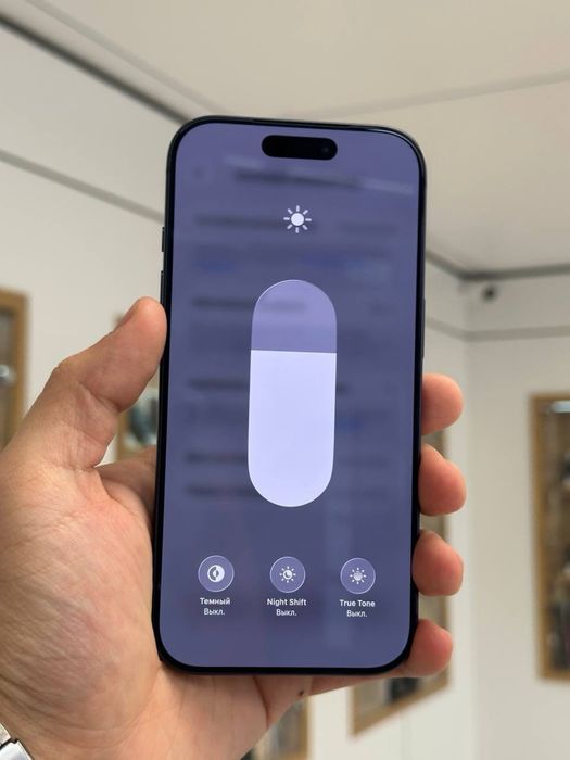 iPhone 17 Pro | 256 GB