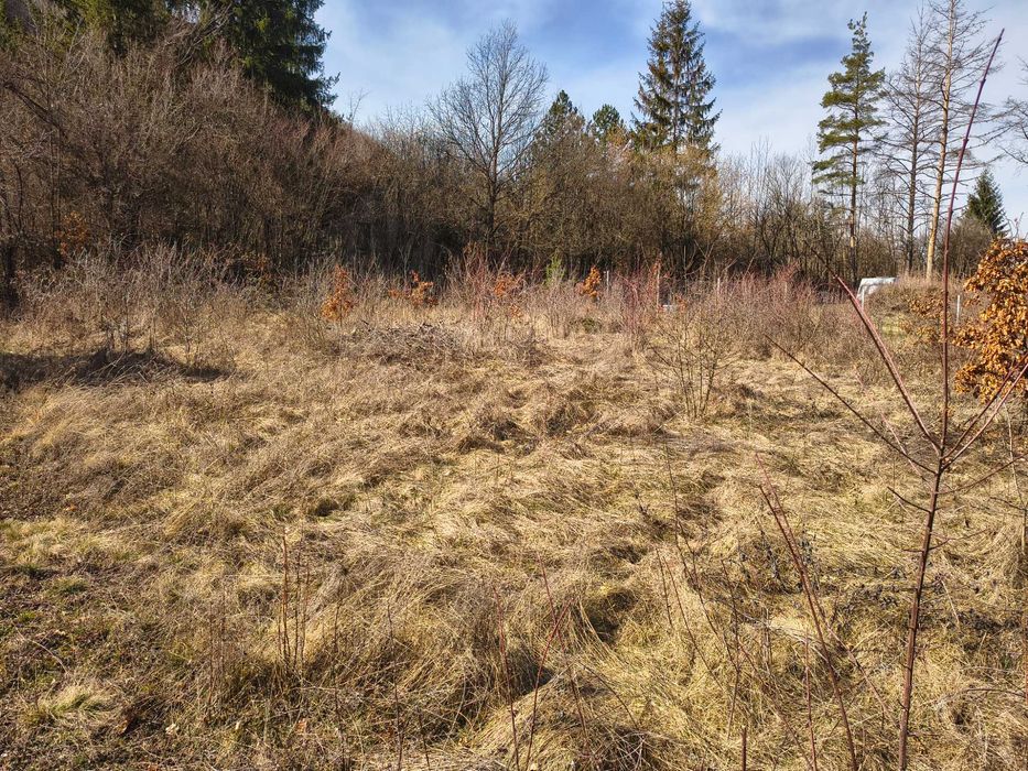 Панорамен парцел – Свидня в.з."Герова леска" ОТ СОБСТВЕНИК