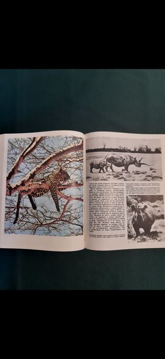 Африка на Л.Браун от 1976 година