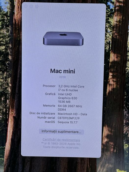 Mac Mini 2018 i7 3,2 Ghz 6-core / 64 GB RAM / 1 TB SSD Bucuresti