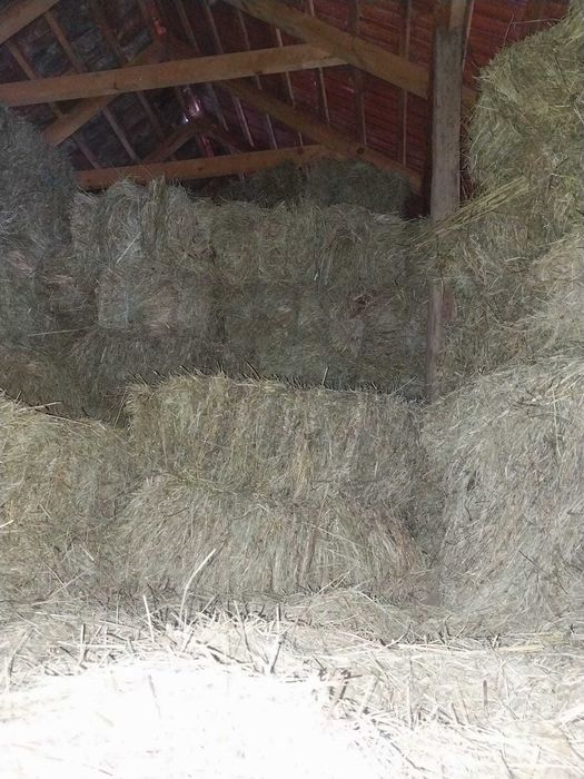 Vand baloti de lucernă si otava