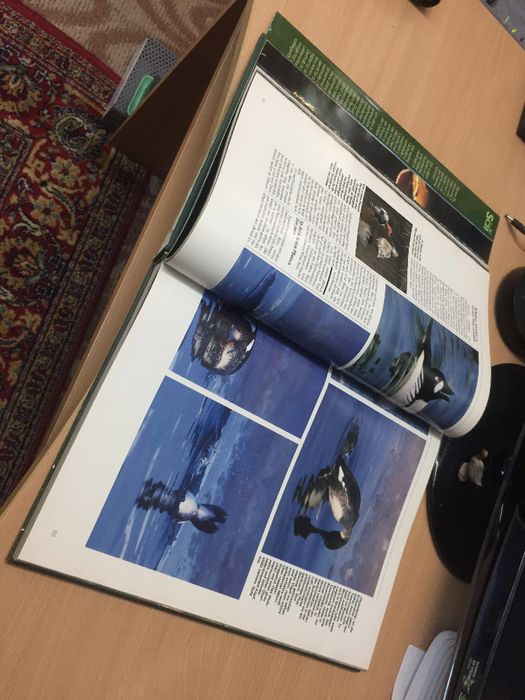 Уникална Немска Енциклопедия/ *1982г*