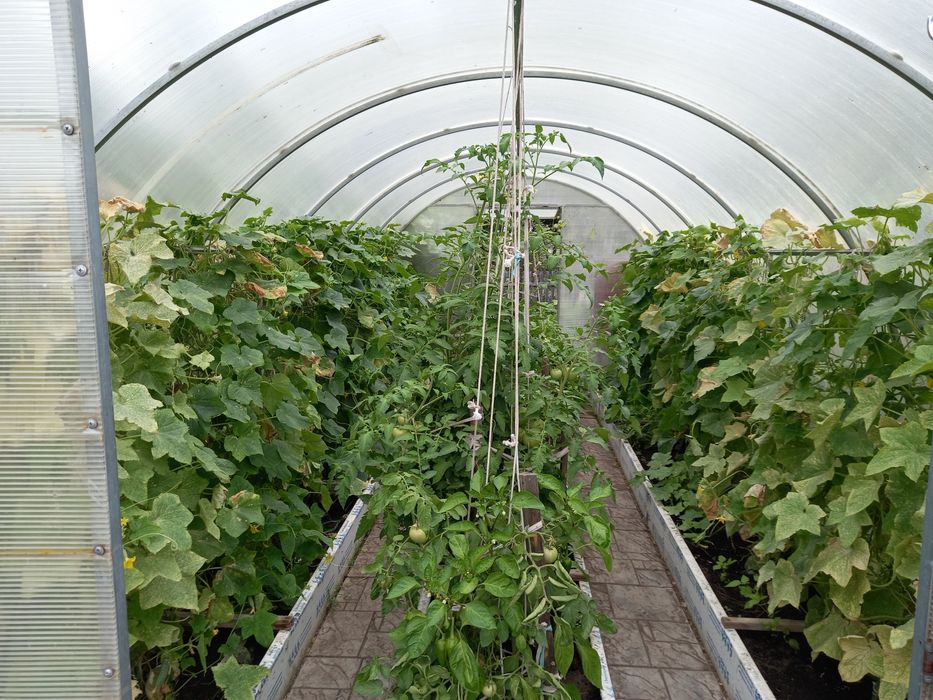 Продам дачу. Мелиоратор