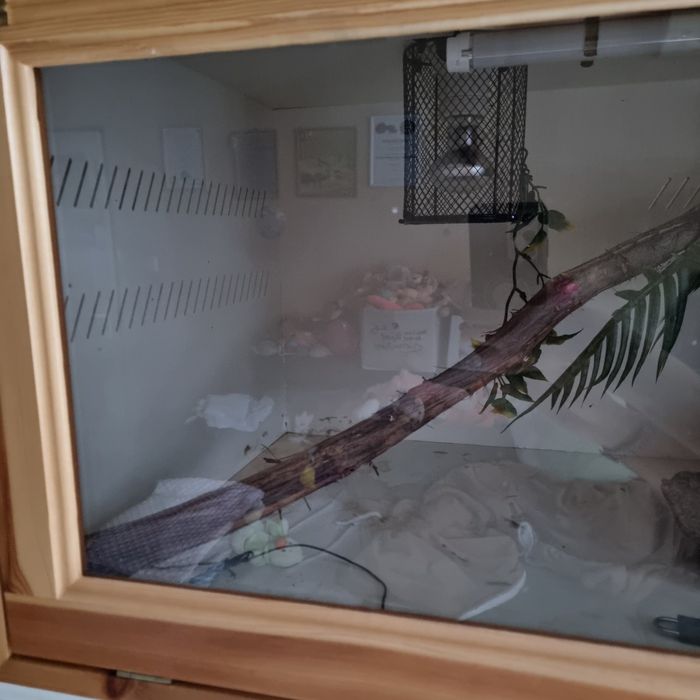 Терариум за влечуги