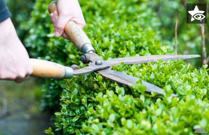 Поддръжка на вили ,къщи,дворове,терени