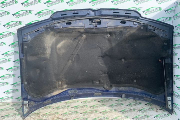 Capota motor Defecte minore Volkswagen VW Bora prima generatie