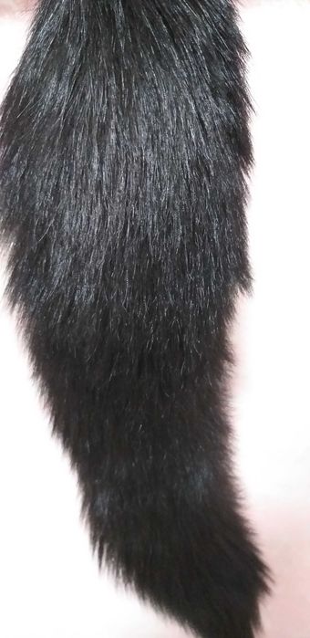 Талисман + оберег + защита