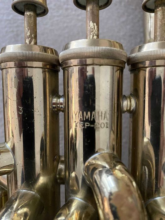 EufoniuYamaha YEP 201