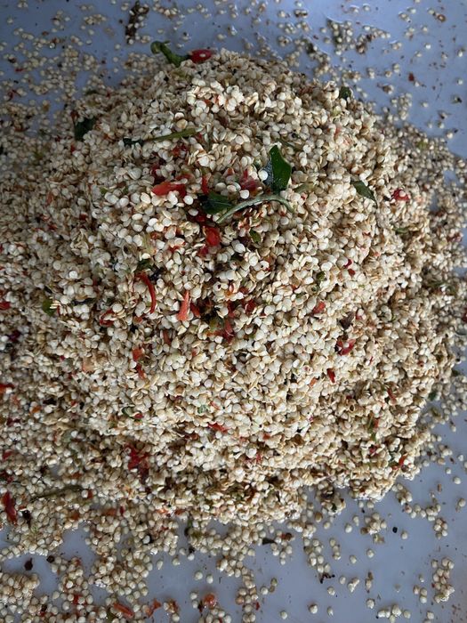 Семена Болгарского, Уруг болгар. Килоли. Оптом.